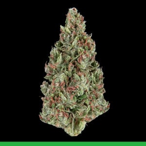 Kaya Weed Sativa Kingston Lemon Skunk