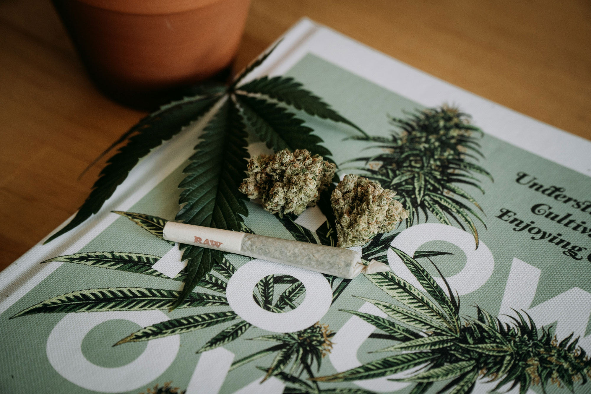 Cannabis and Creativity: How Different Strains Can Boost Your Artistic Side